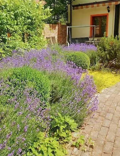 Constantia By Grape فيلة فروتسواف